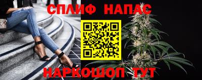 прущие грибы Кунгур