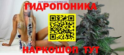 прущие грибы Кунгур