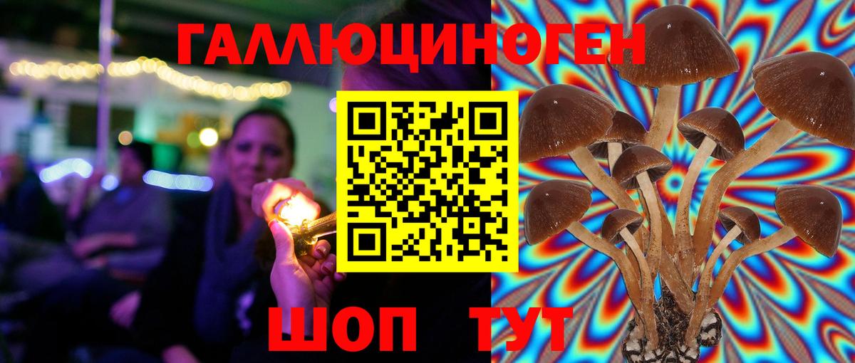 Дальнереченск  Галлюциногенные грибы Magic Shrooms  Вход с VPN  Псилоцибиновые грибы мицелий 