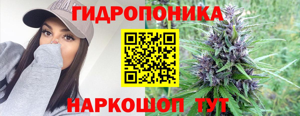 Шишки марихуана SATIVA & INDICA  Вход с VPN  Дальнереченск  Конопля тримм  Бошки марихуана планчик  Канабис VHQ 